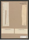 Synedra acus Kuetz. (de-Toni-Nr.: Genus 66, Species 2590) Zeichnungen Sammlung Grunow Nr. 5272 (NHMW-BOT-W0373654)